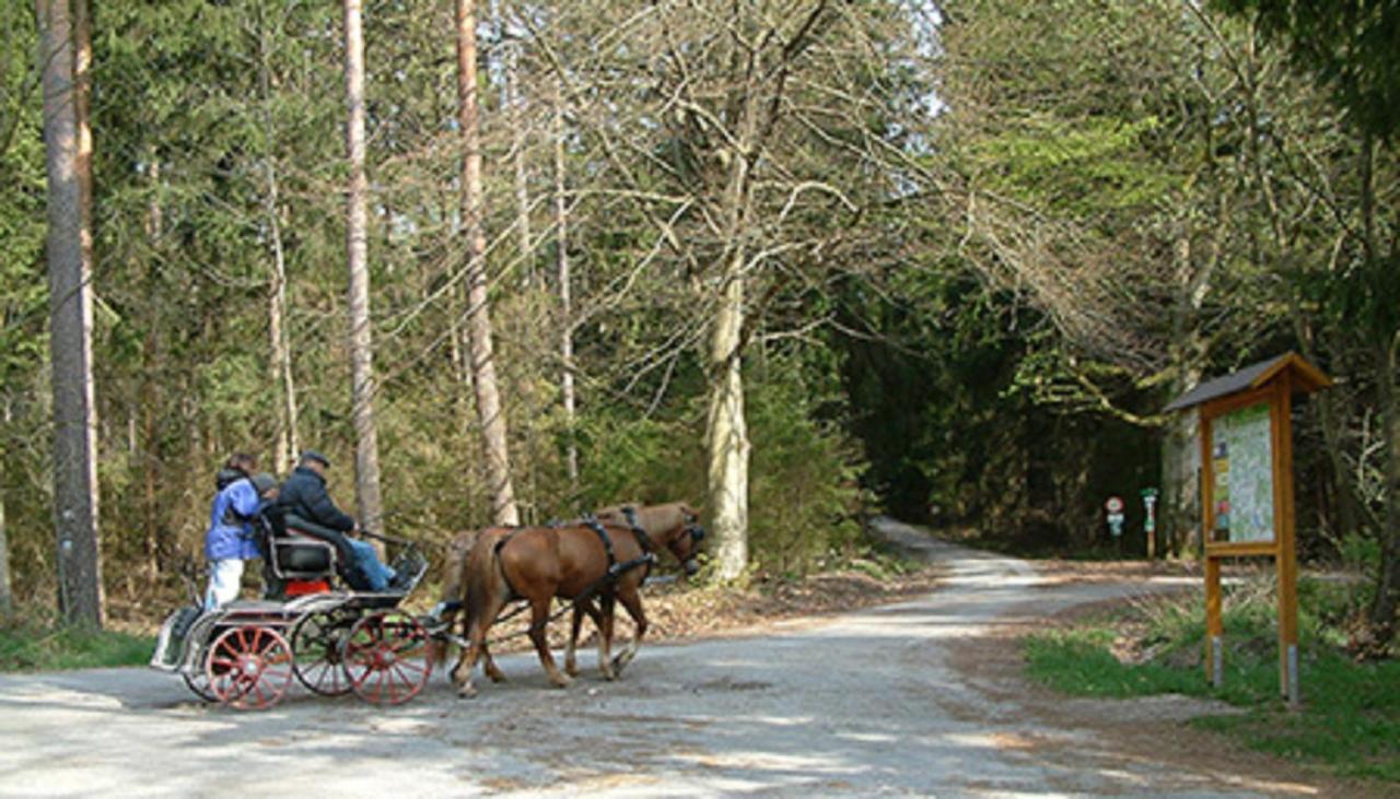 Landgasthaus Zum Moenchshof Hotel Wolframs-Eschenbach Екстериор снимка